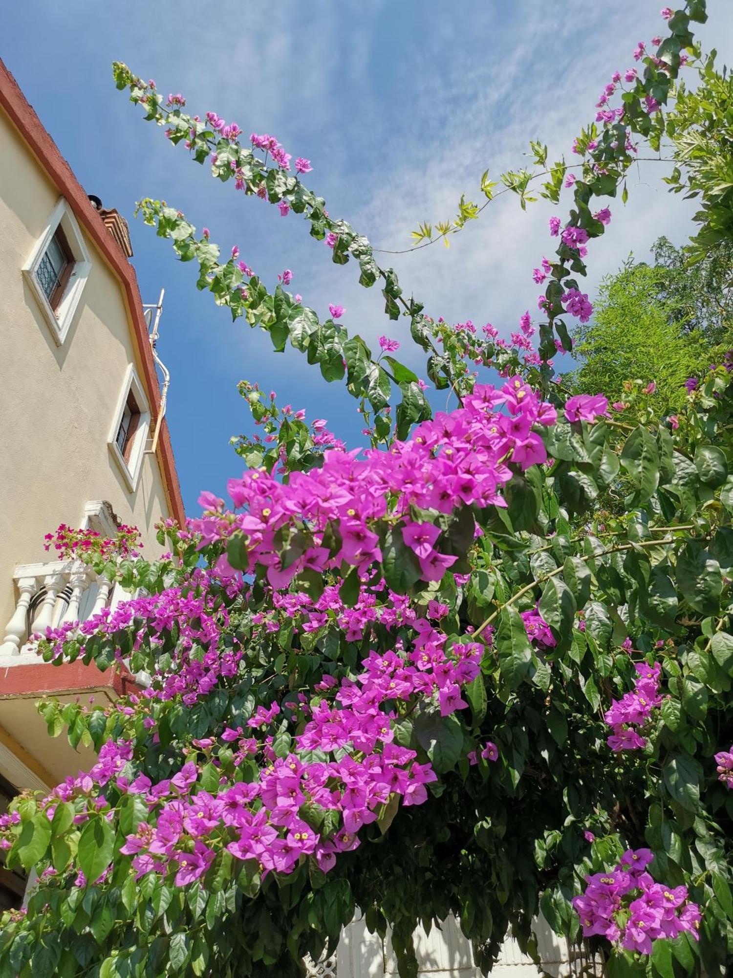 Apartamento Ginko House Opatija Exterior foto